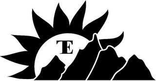TE logo