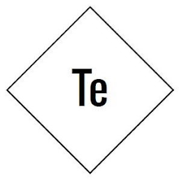 TE logo