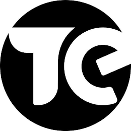 TE logo