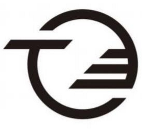 TE logo