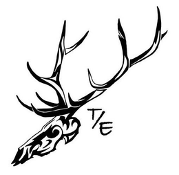 T/E logo