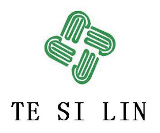 TE SI LIN logo