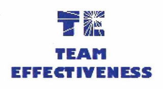 TE TEAM EFFECTIVENESS logo