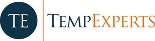 TE TEMP EXPERTS logo