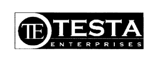 TE TESTA ENTERPRISES logo