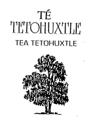 TE TETOHUXTLE TEA TETOHUXTLE logo