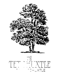 TE TETOHUXTLE TEA TETOHUXTLE logo