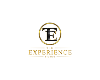 TE THE EXPERIENCE STUDIOS logo