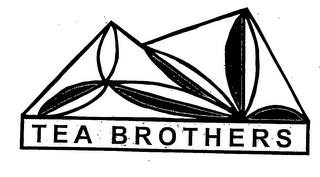 TEA BROTHERS logo