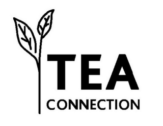 TEA CONNECTION logo
