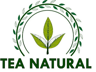 TEA NATURAL logo