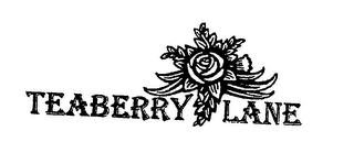 TEABERRY LANE logo