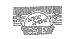 TEAGO SPRING ICED TEA logo