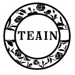 TEAIN logo
