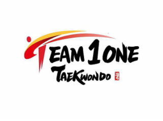 TEAM 1 ONE TAEKWONDO ONE