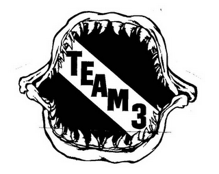 TEAM 3 logo