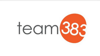 TEAM 383 logo