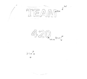 TEAM 420 logo