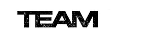 TEAM logo