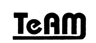 TEAM logo