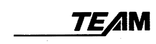 TEAM logo
