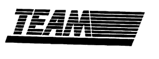 TEAM logo