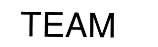 TEAM logo