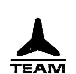 TEAM logo