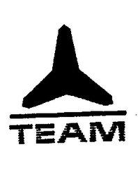 TEAM logo
