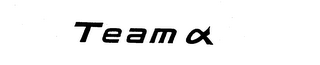 TEAM logo