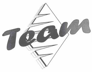 TEAM logo