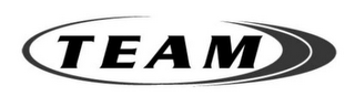 TEAM logo