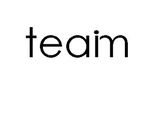 TEAM logo