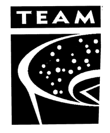 TEAM logo