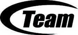 TEAM logo