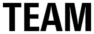 TEAM logo