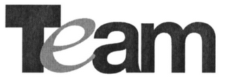 TEAM logo
