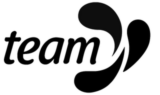 TEAM logo