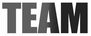 TEAM logo