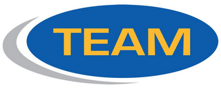 TEAM logo