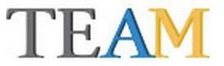 TEAM logo