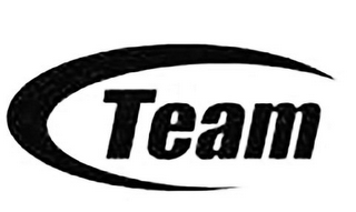 TEAM logo