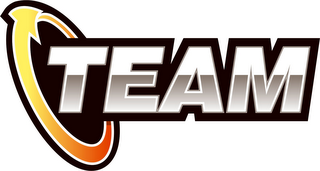 TEAM logo