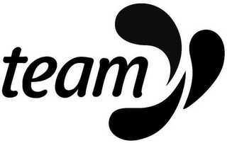 TEAM logo