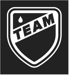 TEAM logo