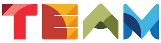 TEAM logo