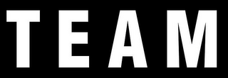 TEAM logo