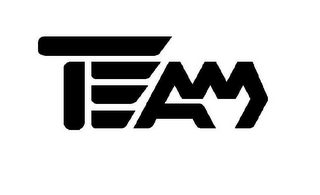 TEAM logo