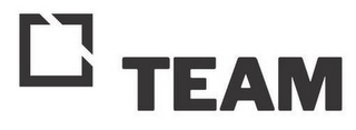 TEAM logo