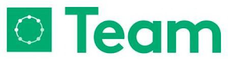 TEAM logo